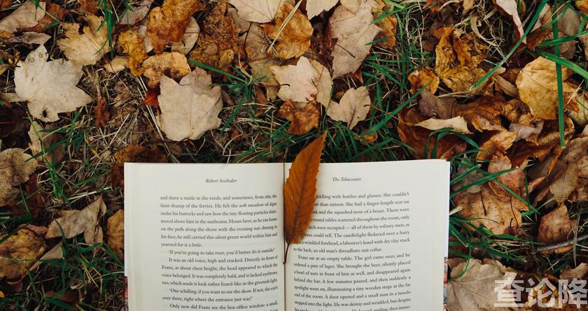 查论降,查论降官网,免费的论文降重检测系统