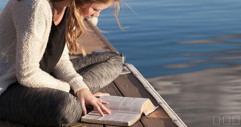 查论降，查论降官网，免费的论文降重检测系统