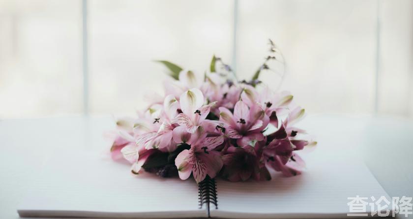 查论降,查论降官网,免费的论文降重检测系统