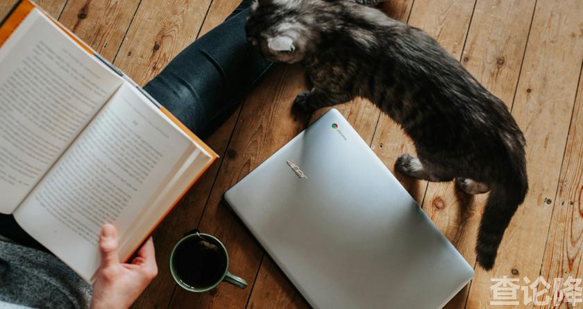 查论降，查论降官网，免费的论文降重检测系统