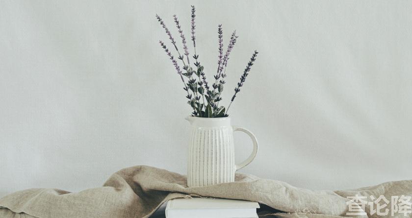 查论降，查论降官网，免费的论文降重检测系统